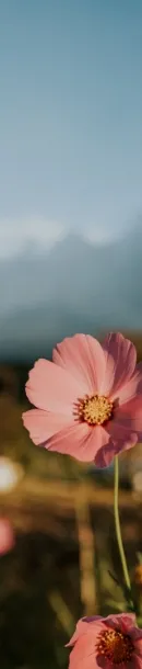 Awesome Image